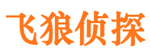 黄石港寻人公司